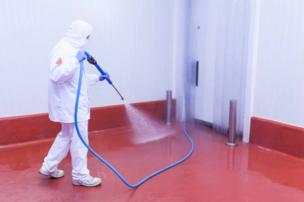 Best Boat and Dock Cleaning  in Menahga, MN