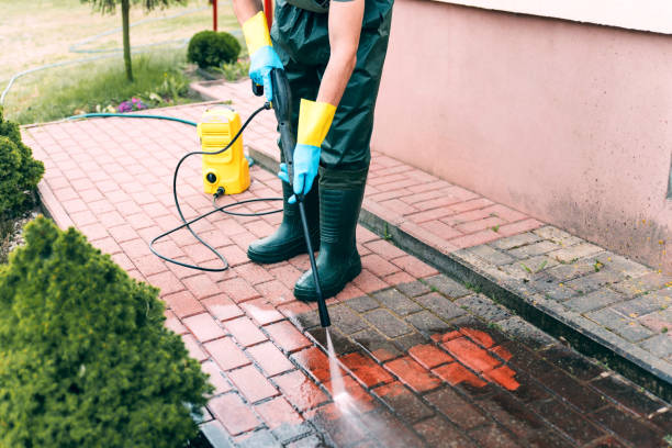 Best House Exterior Washing  in Menahga, MN