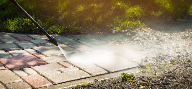 Animal Enclosure Cleaning in Menahga, MN