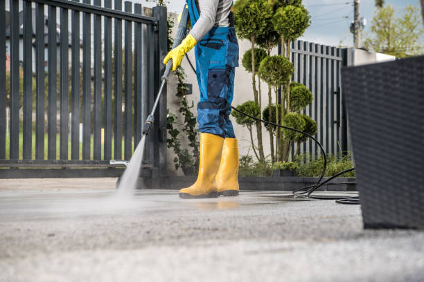 Best Roof Washing  in Menahga, MN