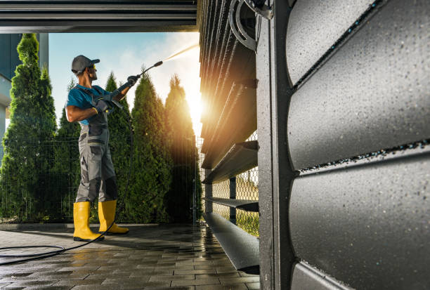 Best Solar Panel Cleaning  in Menahga, MN