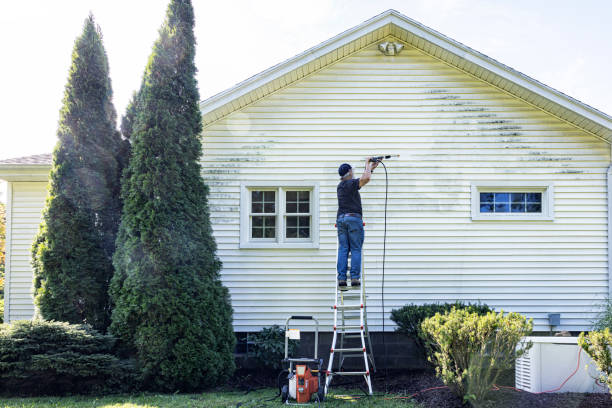 Best House Exterior Washing  in Menahga, MN